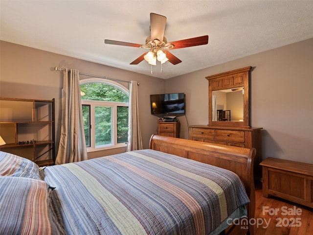 401 Nelson St, Clyde, NC 28721 - photo 30
