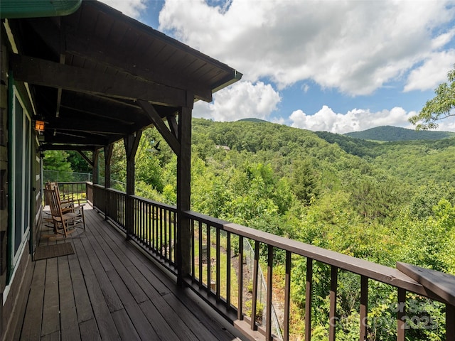 169 Laurel Creek Dr, Hendersonville, NC 28792 - photo 2
