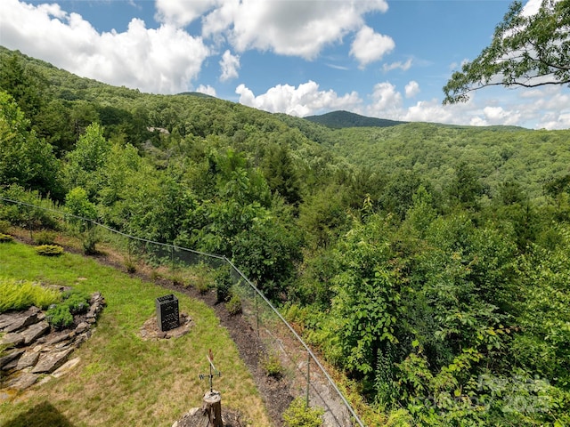 169 Laurel Creek Dr, Hendersonville, NC 28792 - photo 4