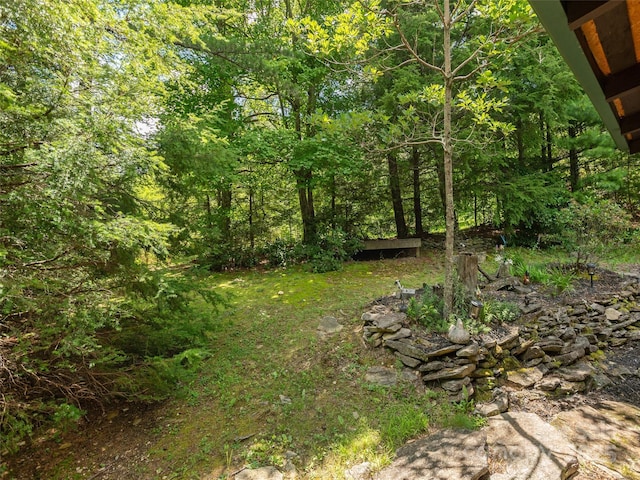 169 Laurel Creek Dr, Hendersonville, NC 28792 - photo 26
