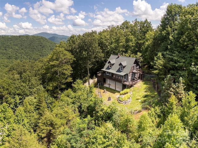 169 Laurel Creek Dr, Hendersonville, NC 28792 - photo 30