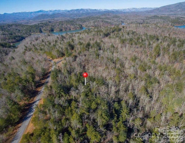 35-12 Sycamore Dr Unit 35-12, Nebo, NC 28761 - photo 6