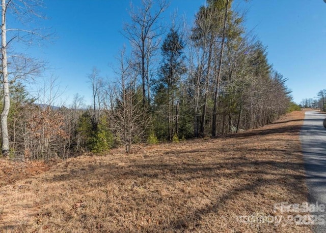 35-12 Sycamore Dr Unit 35-12, Nebo, NC 28761 - photo 10