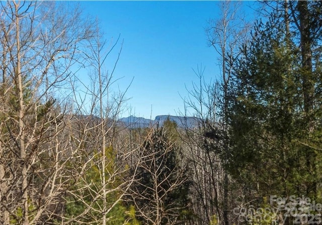 35-12 Sycamore Dr Unit 35-12, Nebo, NC 28761 - photo 11