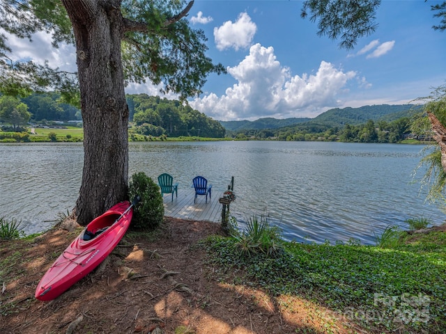 2859 S Lakeshore Dr, Lake Junaluska, NC 28745 - photo 42