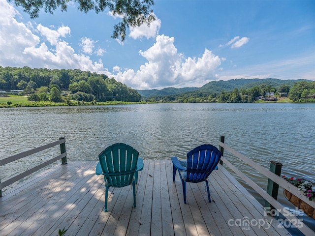 2859 S Lakeshore Dr, Lake Junaluska, NC 28745 - photo 43