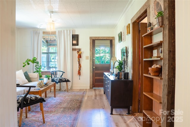 137 Elkwood Ave, Asheville, NC 28804 - photo 6