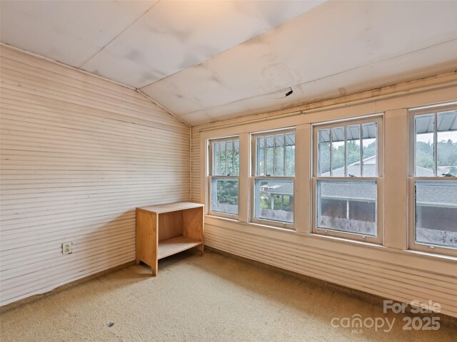 173 Wesley St, Canton, NC 28716 - photo 36