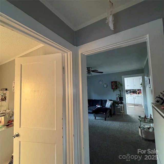 604 Frank St, Kannapolis, NC 28081 - photo 7
