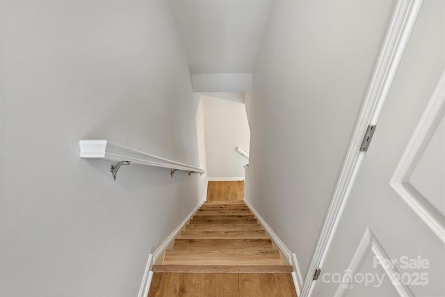 2405 Via Del Conte Aly, Charlotte, NC 28205 - photo 7