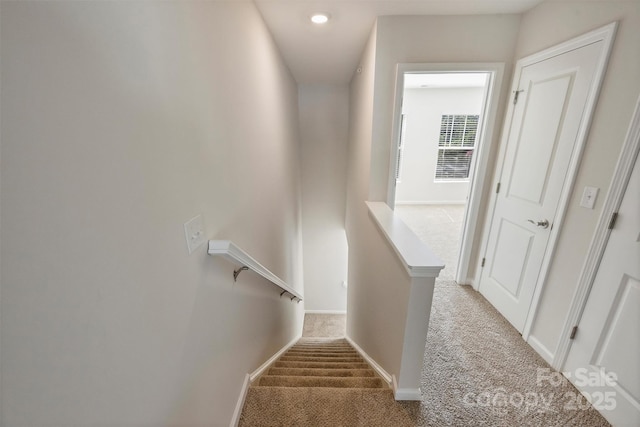 2405 Via Del Conte Aly, Charlotte, NC 28205 - photo 18