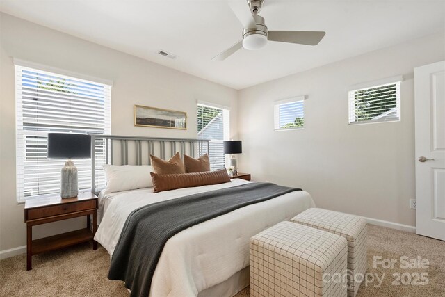 2405 Via Del Conte Aly, Charlotte, NC 28205 - photo 20