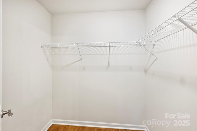 2405 Via Del Conte Aly, Charlotte, NC 28205 - photo 23