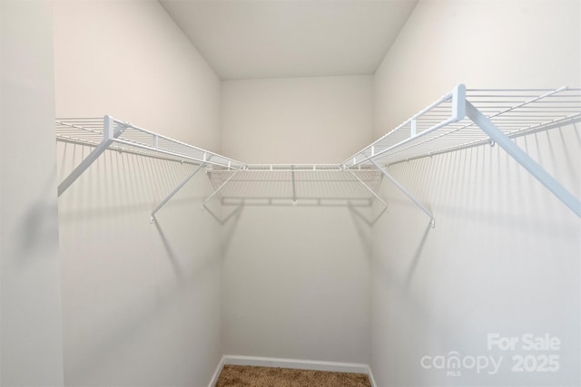 2405 Via Del Conte Aly, Charlotte, NC 28205 - photo 27