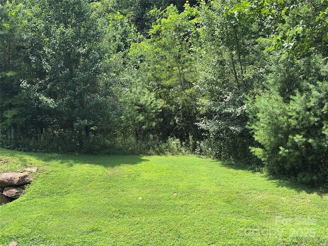 3 Mountain Magnolia Dr, Leicester, NC 28748 - photo 1