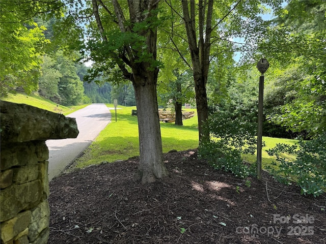 3 Mountain Magnolia Dr, Leicester, NC 28748 - photo 2