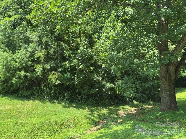 3 Mountain Magnolia Dr, Leicester, NC 28748 - photo 3