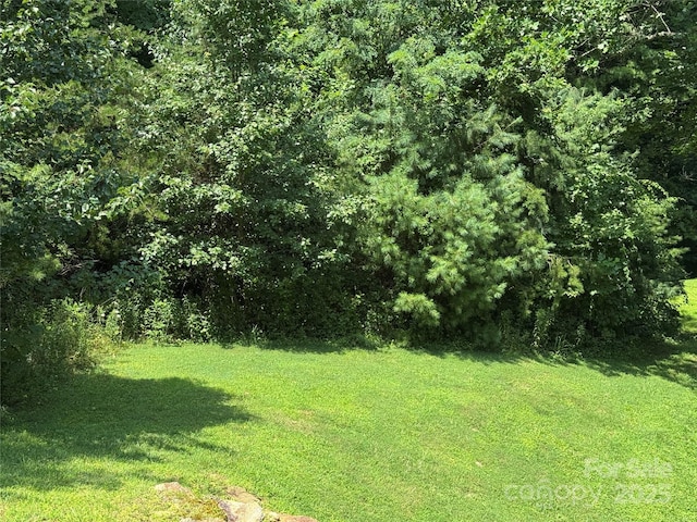 3 Mountain Magnolia Dr, Leicester, NC 28748 - photo 5