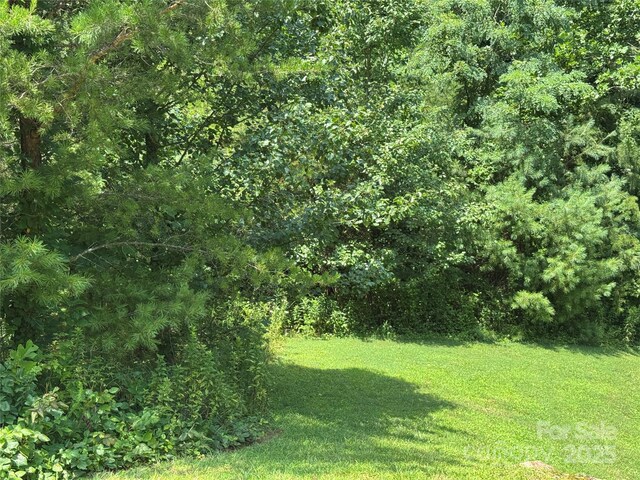 3 Mountain Magnolia Dr, Leicester, NC 28748 - photo 6