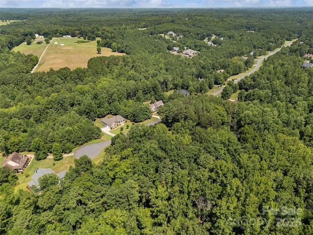 1673 Restless One Ln, Rock Hill, SC 29730 - photo 4