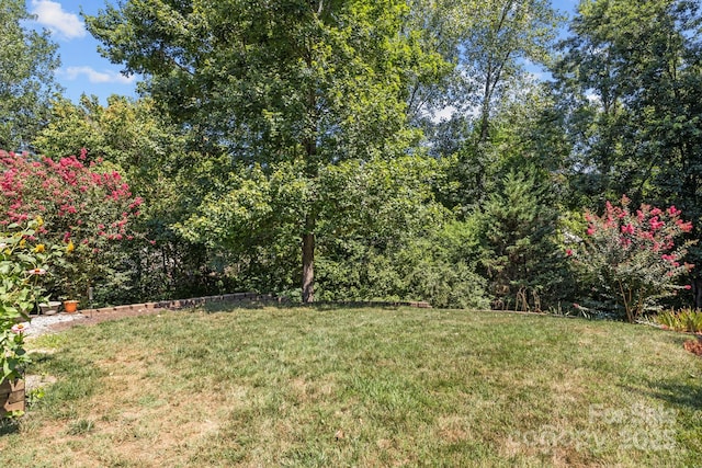 165 W Walnut Ave, Mount Holly, NC 28120 - photo 33