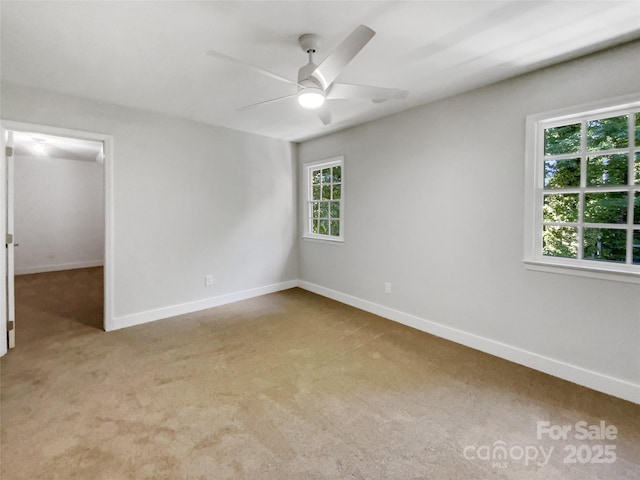 9643 Whitewood Trl, Charlotte, NC 28269 - photo 25