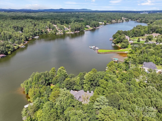 16 Royal Vista Way, Granite Falls, NC 28630 - photo 7