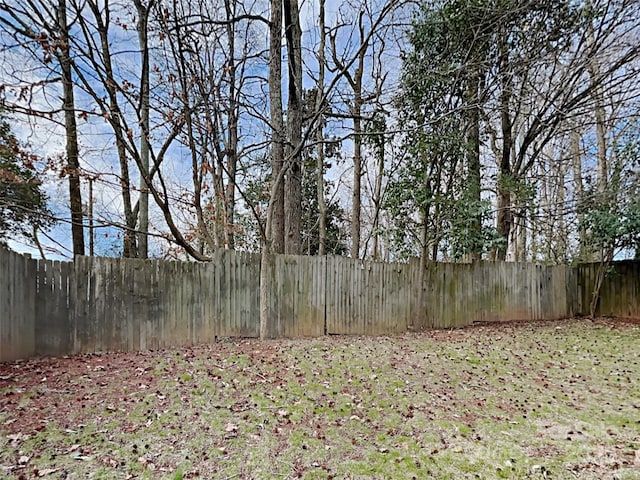 119 Winding Canyon Dr, Charlotte, NC 28214 - photo 16