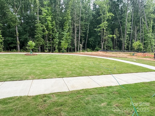 12016 Storm Ln Unit 36, Charlotte, NC 28277 - photo 33