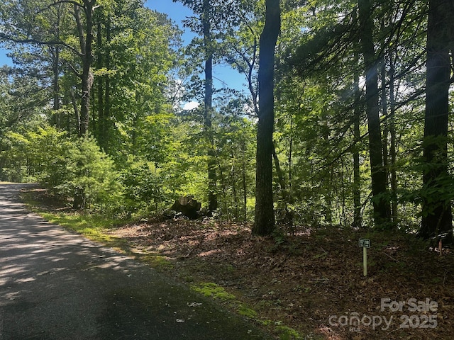 130 Brown Bear Ridge Trl, Zirconia, NC 28790 - photo 1