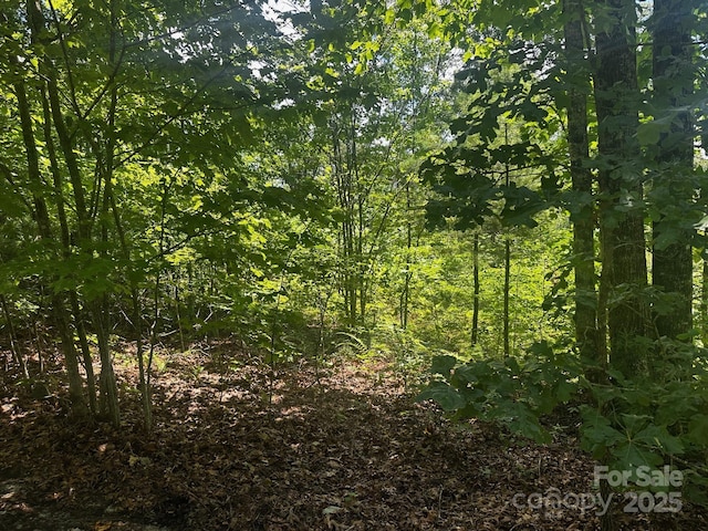 130 Brown Bear Ridge Trl, Zirconia, NC 28790 - photo 2