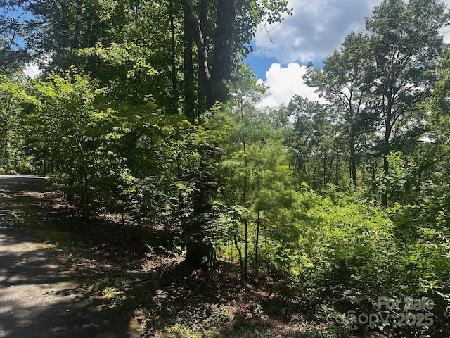 130 Brown Bear Ridge Trl, Zirconia, NC 28790 - photo 3