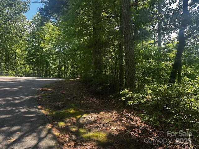130 Brown Bear Ridge Trl, Zirconia, NC 28790 - photo 4