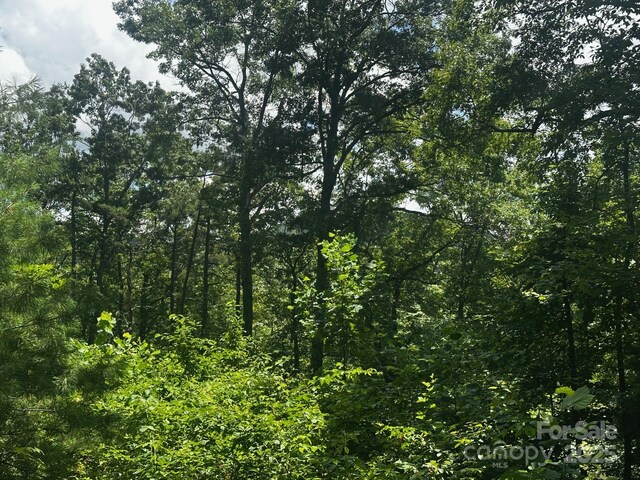 130 Brown Bear Ridge Trl, Zirconia, NC 28790 - photo 5