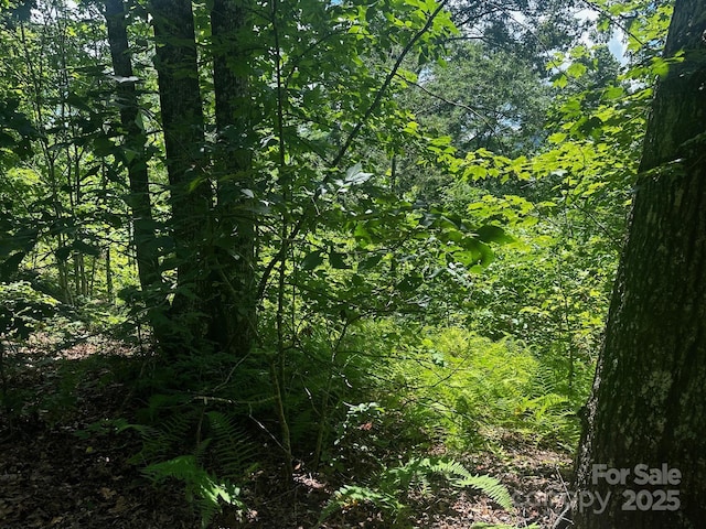 130 Brown Bear Ridge Trl, Zirconia, NC 28790 - photo 6