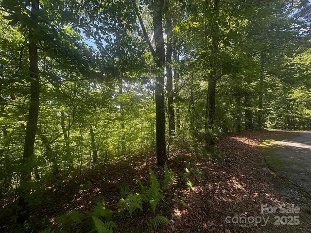 130 Brown Bear Ridge Trl, Zirconia, NC 28790 - photo 8