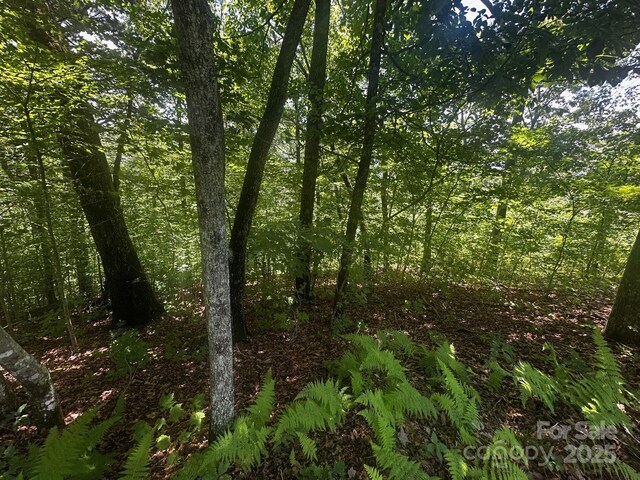 130 Brown Bear Ridge Trl, Zirconia, NC 28790 - photo 10