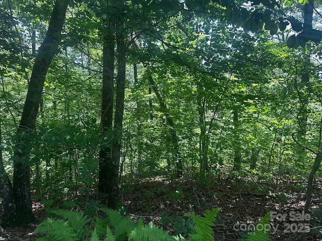 130 Brown Bear Ridge Trl, Zirconia, NC 28790 - photo 11
