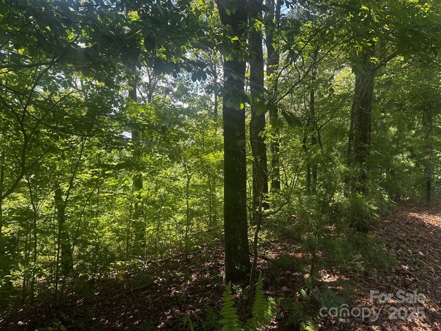 130 Brown Bear Ridge Trl, Zirconia, NC 28790 - photo 12