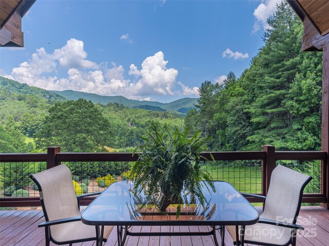 477 Jenkins Rd, Waynesville, NC 28785 - photo 13