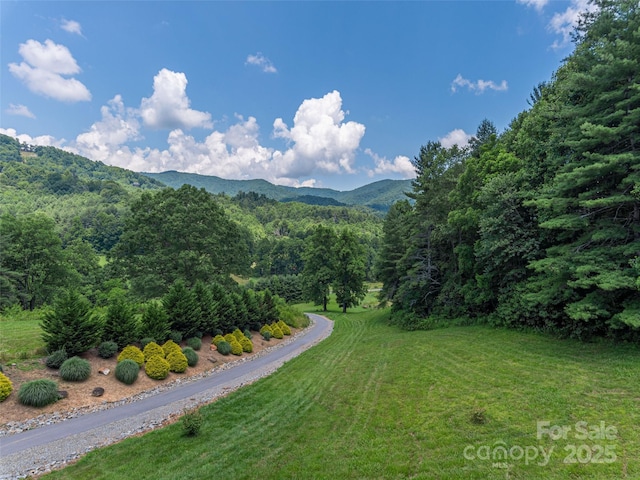 477 Jenkins Rd, Waynesville, NC 28785 - photo 14