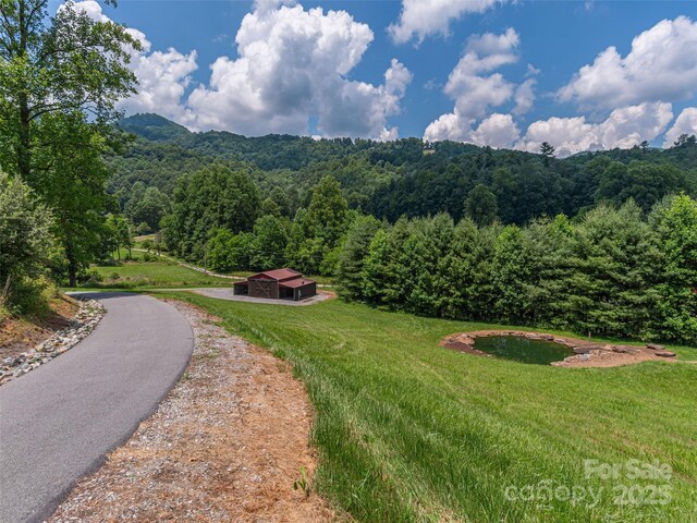 477 Jenkins Rd, Waynesville, NC 28785 - photo 15