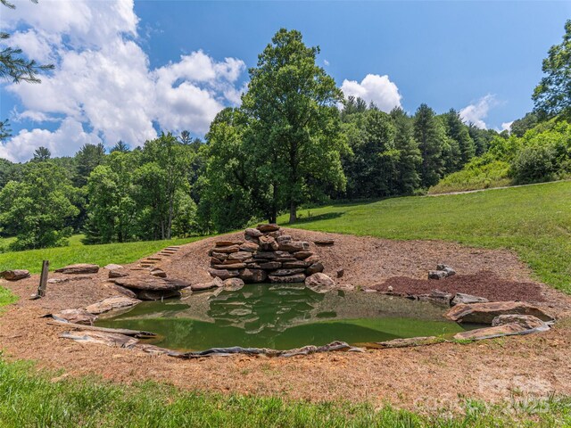 477 Jenkins Rd, Waynesville, NC 28785 - photo 41