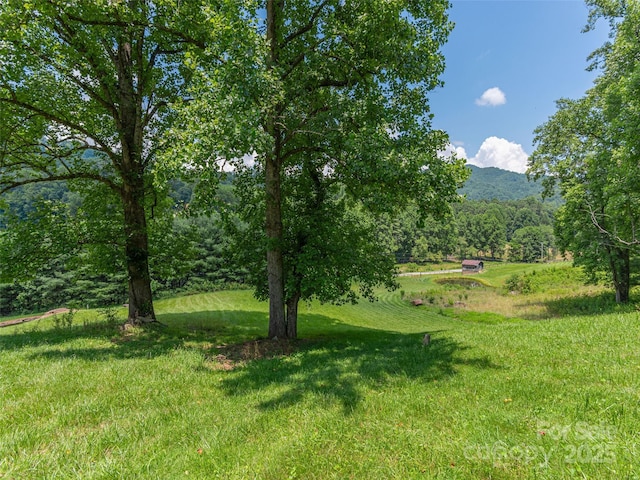 477 Jenkins Rd, Waynesville, NC 28785 - photo 42
