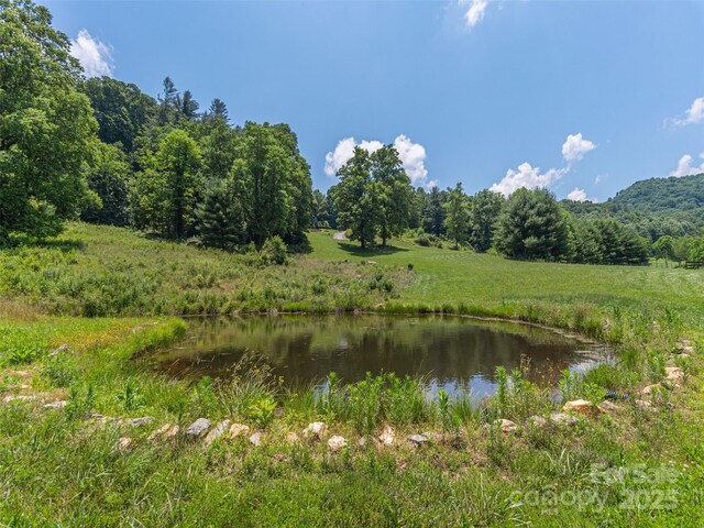 477 Jenkins Rd, Waynesville, NC 28785 - photo 43