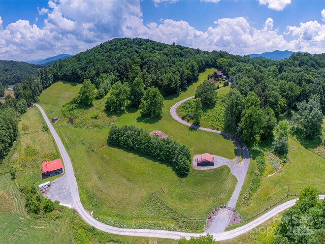 477 Jenkins Rd, Waynesville, NC 28785 - photo 46