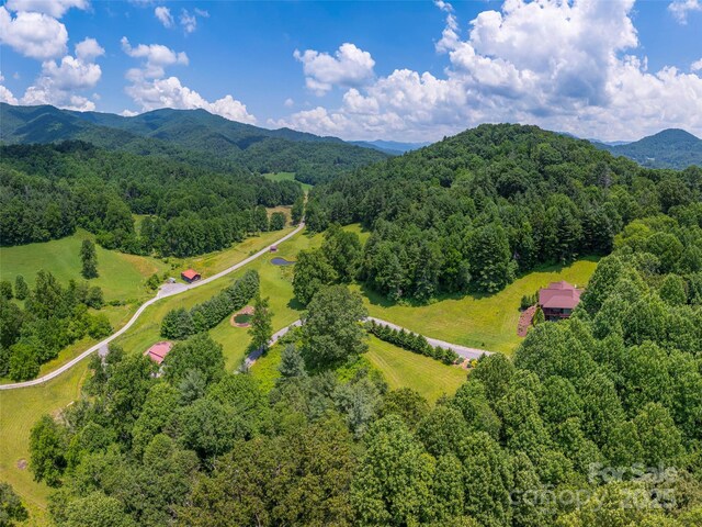 477 Jenkins Rd, Waynesville, NC 28785 - photo 47