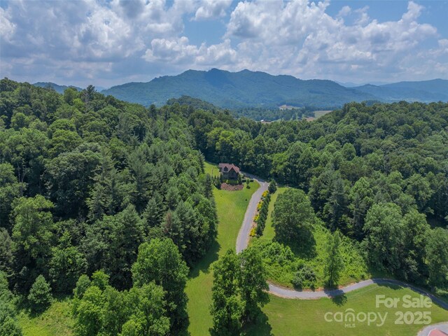 477 Jenkins Rd, Waynesville, NC 28785 - photo 48