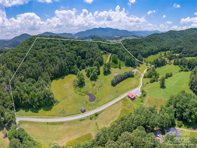 477 Jenkins Rd, Waynesville, NC 28785 - photo 2