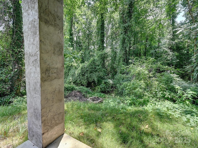 153 State St, Asheville, NC 28806 - photo 43